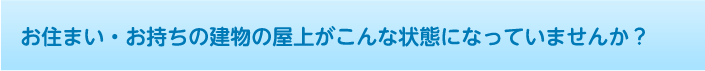 お住まい・お持ちの建物の屋上がこんな状態になっていませんか？